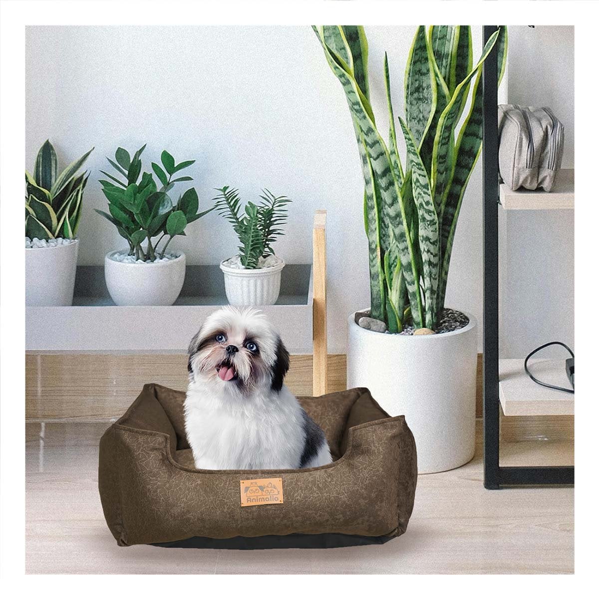 PACK2 ALMOHADON MARRON PARA PERRO TALLA S CON COMPLETO - 2