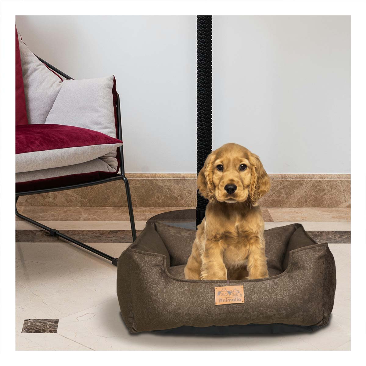 PACK2 ALMOHADON MARRON PARA PERRO TALLA S CON COMPLETO - 3