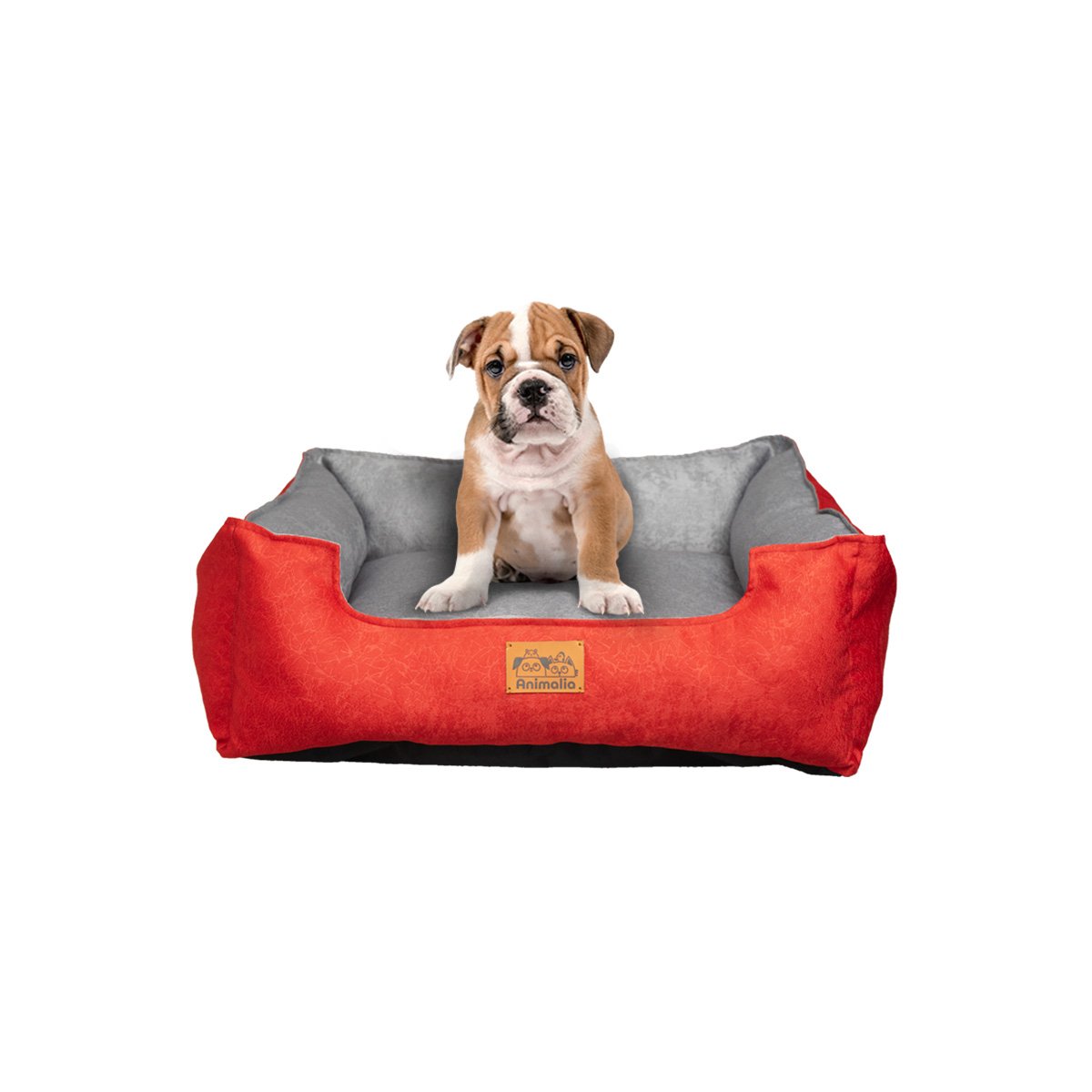 PACK2 DESCANSO ROJO LABRADO PARA PERRO TALLA S CON CENTRO PLOMO Y+REGALO STICKER - 2