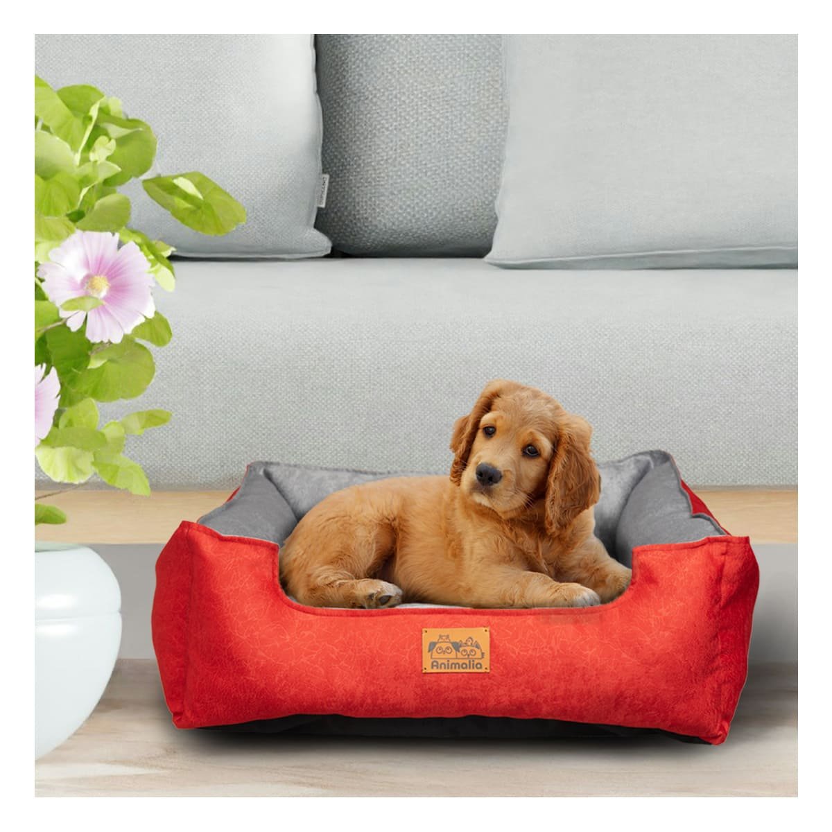 ESTRUCTURA ACOLCHADA PARA PERRO TALLA S ROJO LABRADO CENTRO PLOMO - 2
