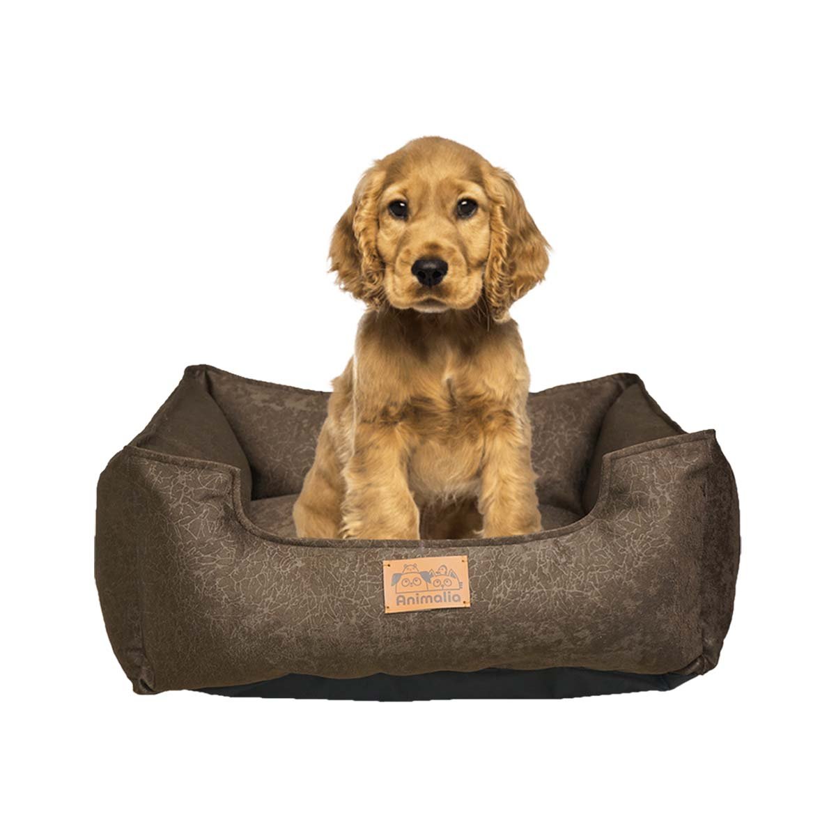 UNIDAD DE DESCANSO PARA PERRO TALLA S MARRON COMPLETO Y+REGALO STICKER - 3