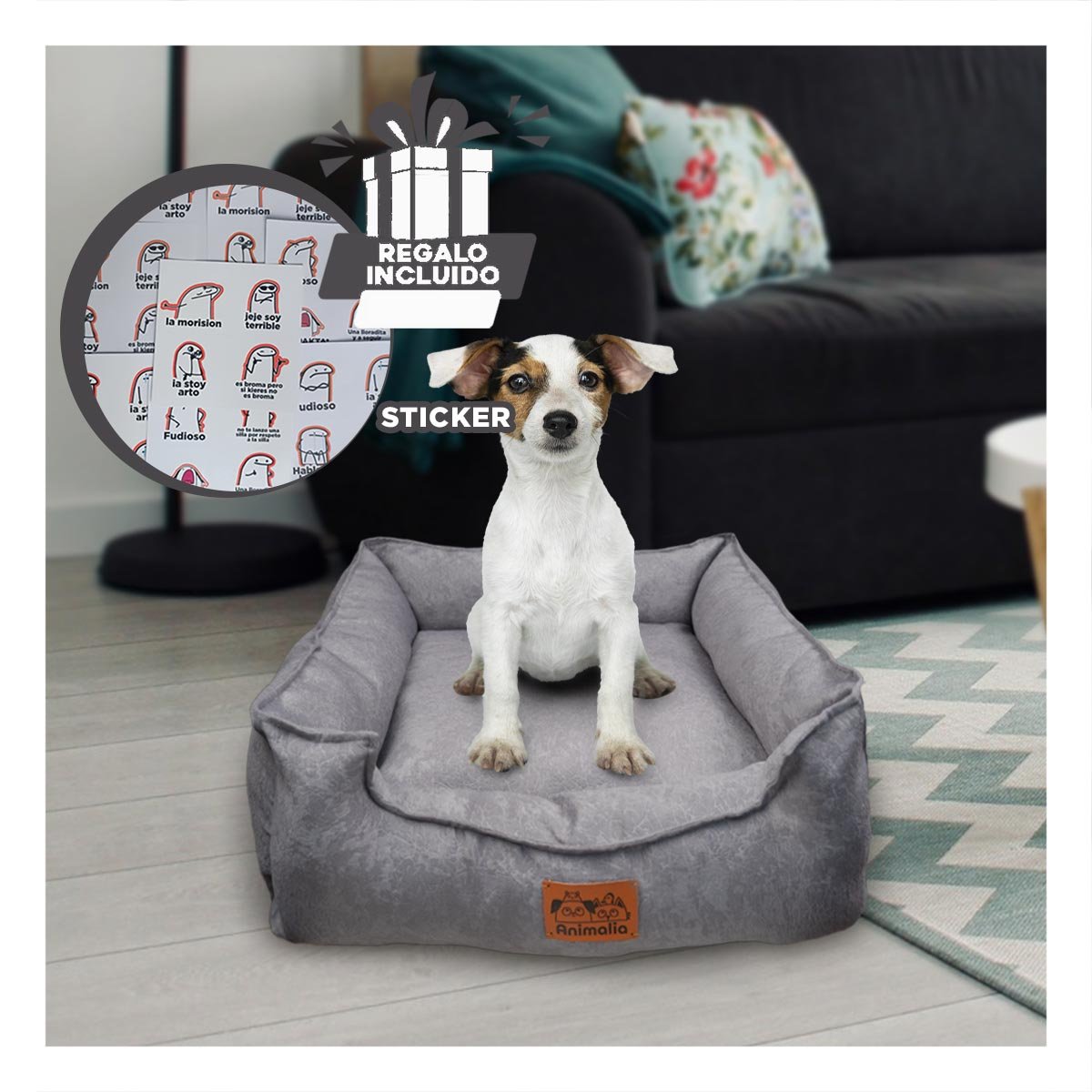 UNIDAD DE DESCANSO PARA PERRO TALLA S PLOMO COMPLETO Y+REGALO STICKER - 1