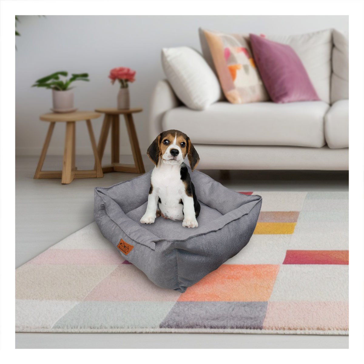 PACK4 BASE PLOMO PARA PERRO TALLA S CON COMPLETO - 5