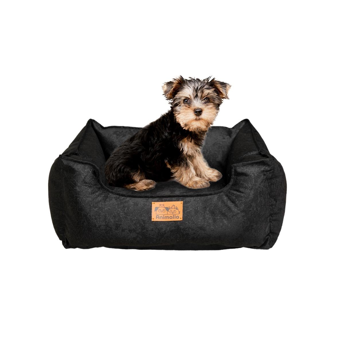 PACK4 ESPACIO NEGRO PARA PERRO TALLA S CON COMPLETO Y+PAPEL REGALO - 3