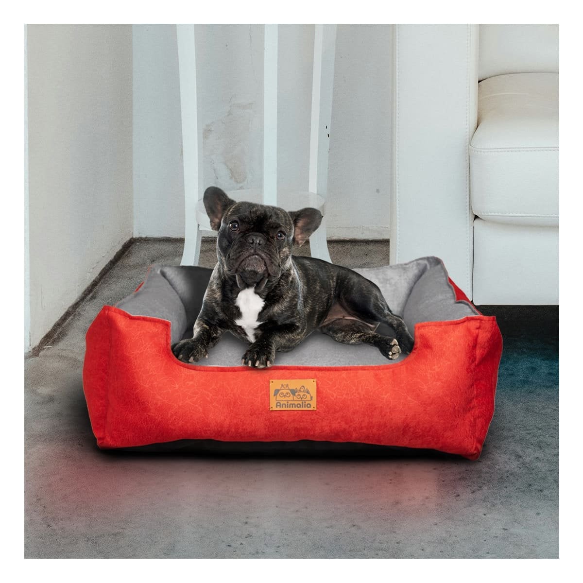 PACK2 ALMOHADON ROJO LABRADO PARA PERRO TALLA S CON CENTRO PLOMO - 3
