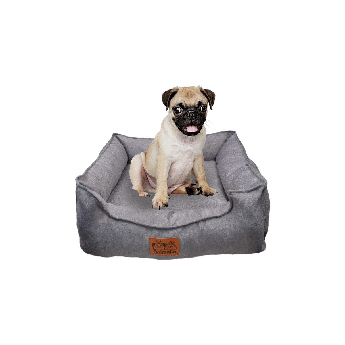 PACK2 DESCANSO PLOMO PARA PERRO TALLA S CON COMPLETO Y+REGALO STICKER - 2