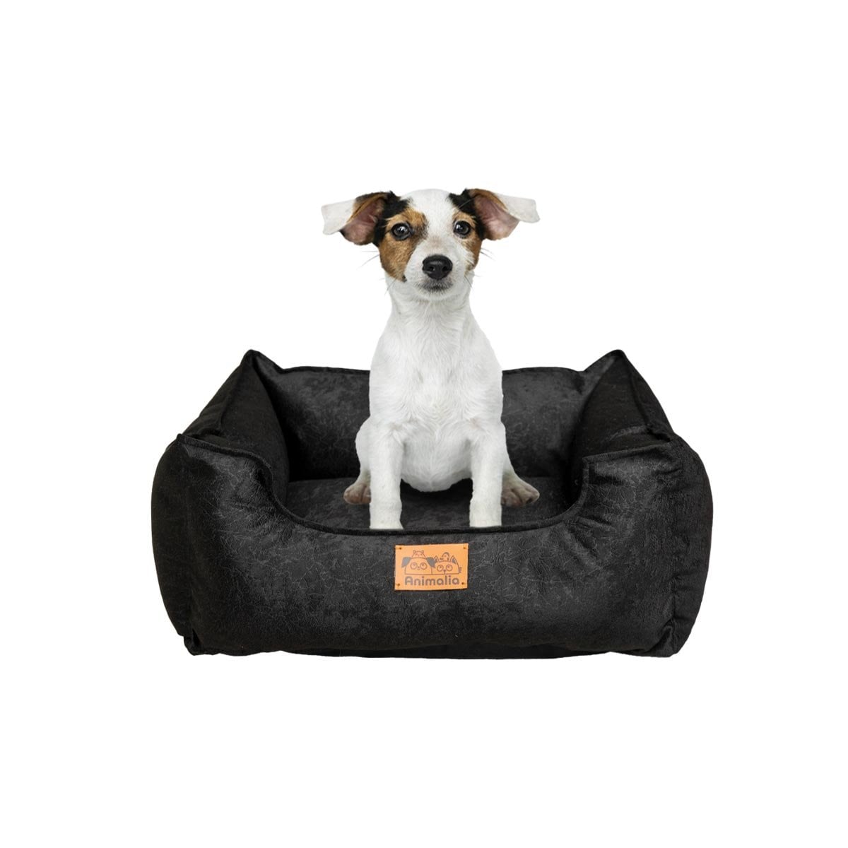 SOPORTE ACOLCHADO PARA PERRO TALLA S NEGRO COMPLETO Y+PAPEL REGALO - 1
