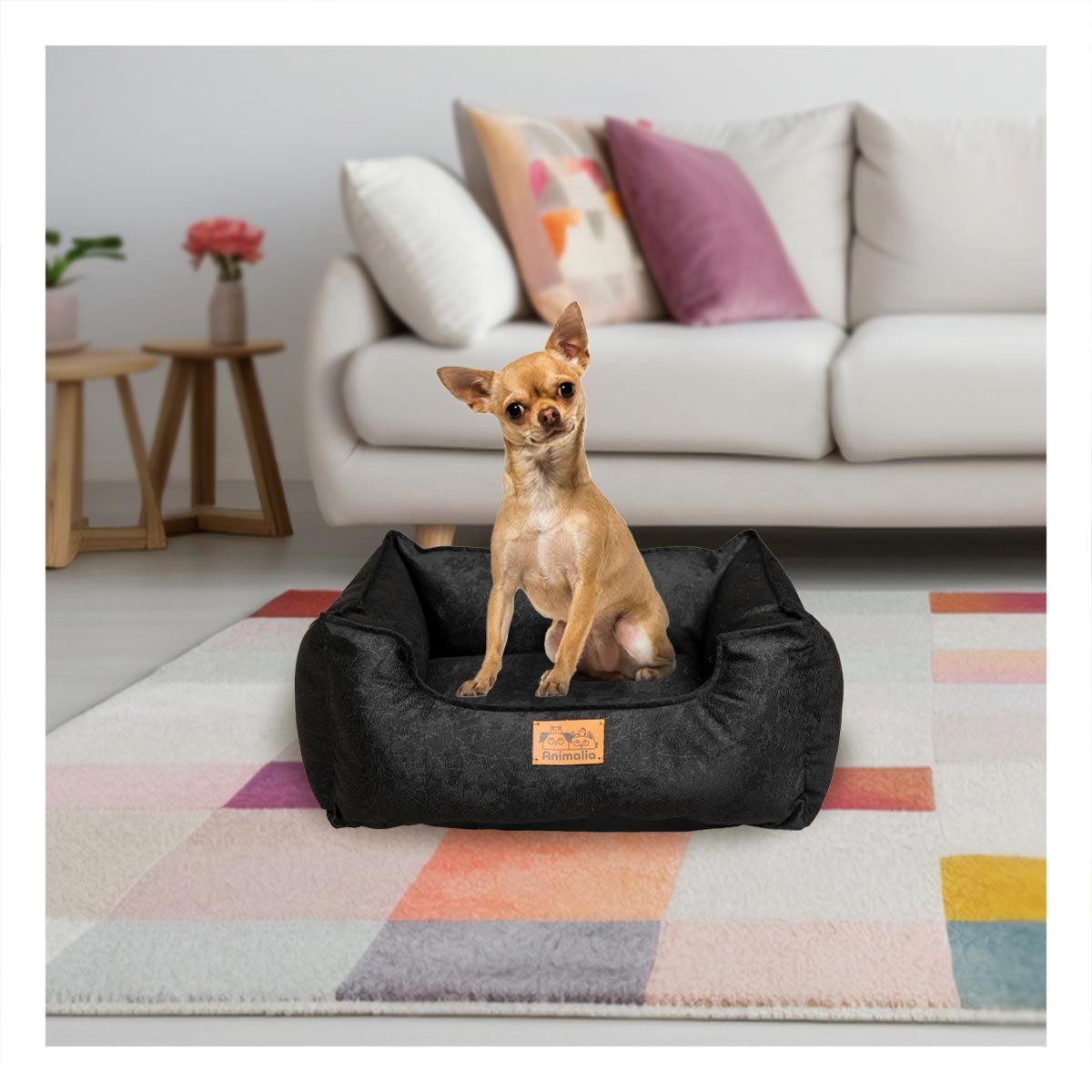 SOPORTE ACOLCHADO PARA PERRO TALLA S NEGRO COMPLETO Y+PAPEL REGALO - 5