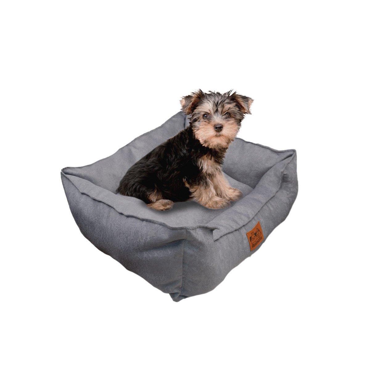 PACK4 ESPACIO PLOMO PARA PERRO TALLA S CON COMPLETO Y+PAPEL REGALO - 3