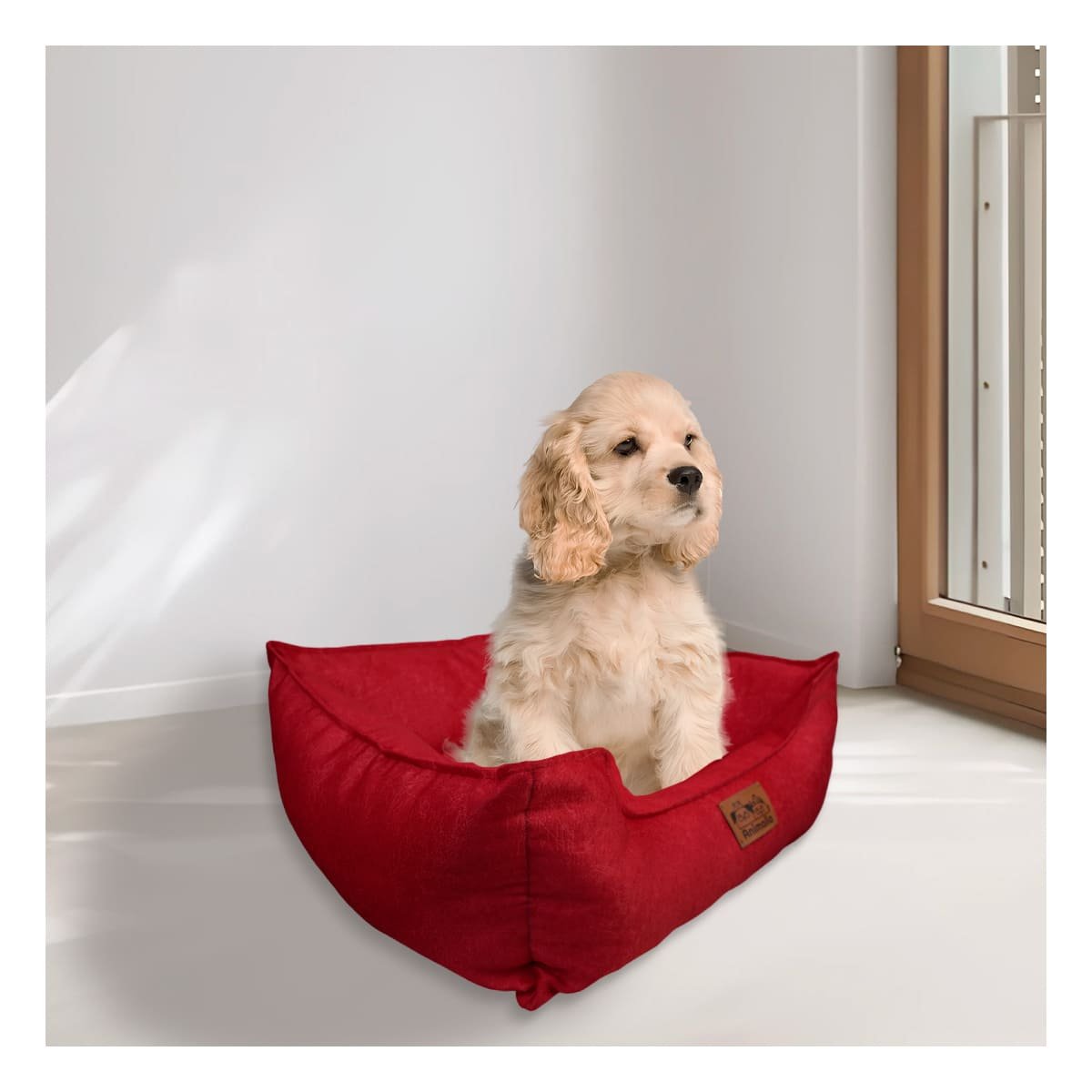 PACK2 DESCANSO ROJO PARA PERRO TALLA S CON COMPLETO Y+REGALO STICKER - 3