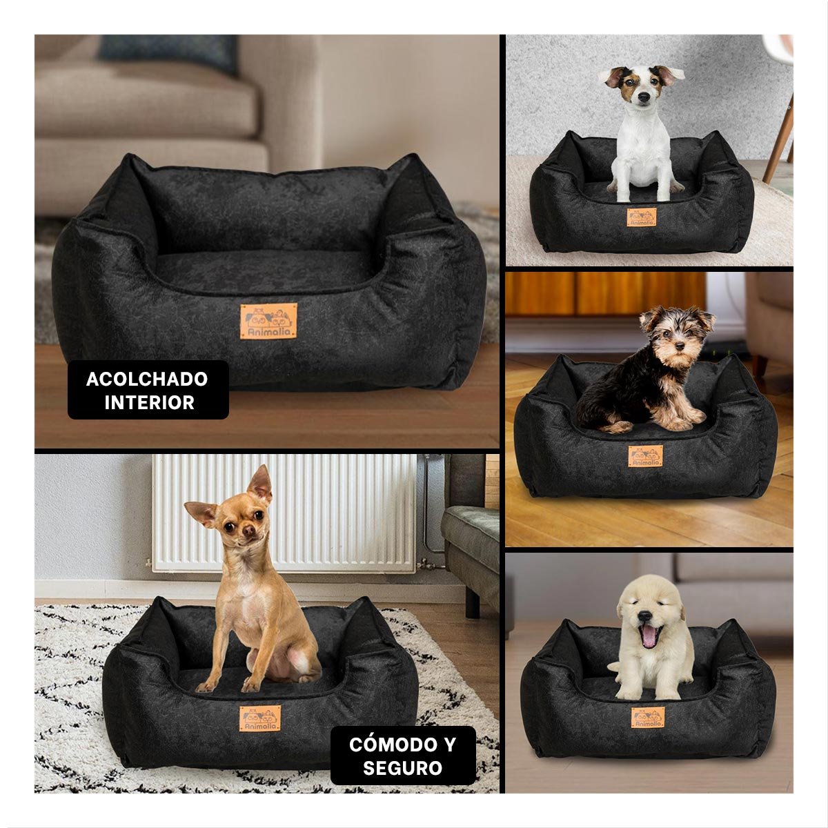 PACK4 NIDO NEGRO PARA PERRO TALLA S CON COMPLETO Y+REGALO STICKER - 2