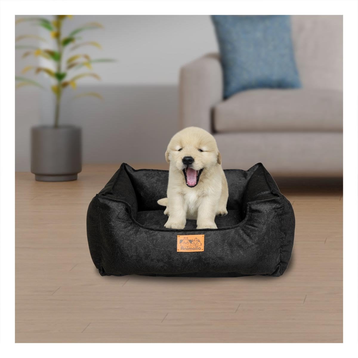 PACK4 NIDO NEGRO PARA PERRO TALLA S CON COMPLETO Y+REGALO STICKER - 5