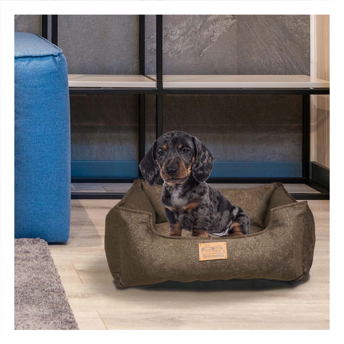 SOPORTE ACOLCHADO PARA PERRO TALLA S MARRON COMPLETO Y+PAPEL REGALO - 2