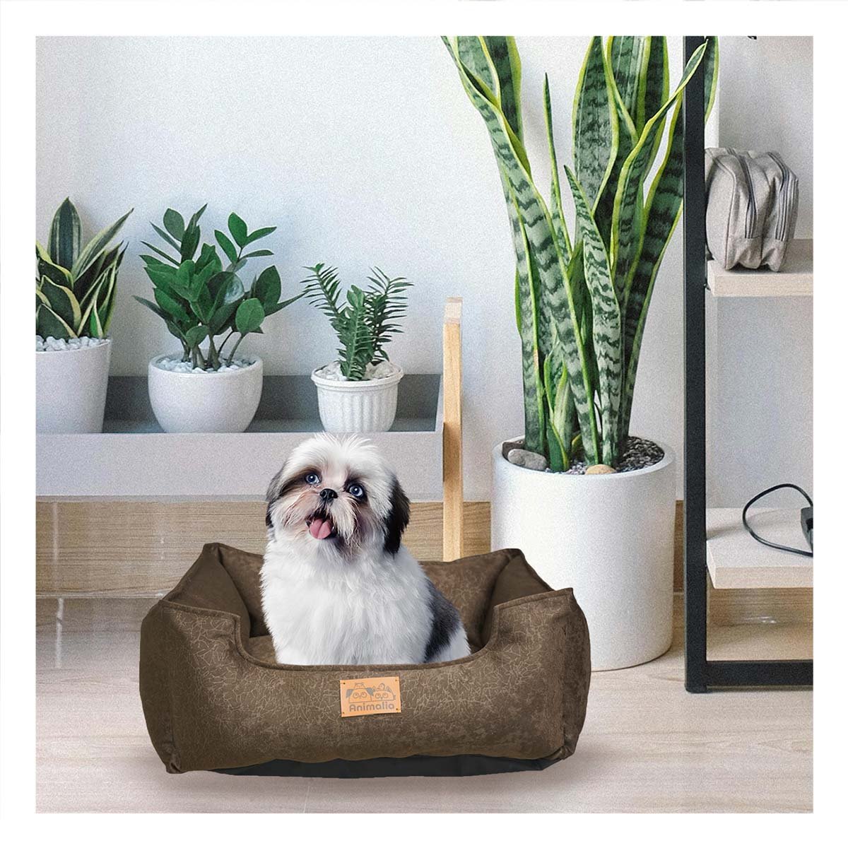 PACK4 BASE MARRON PARA PERRO TALLA S CON COMPLETO - 2