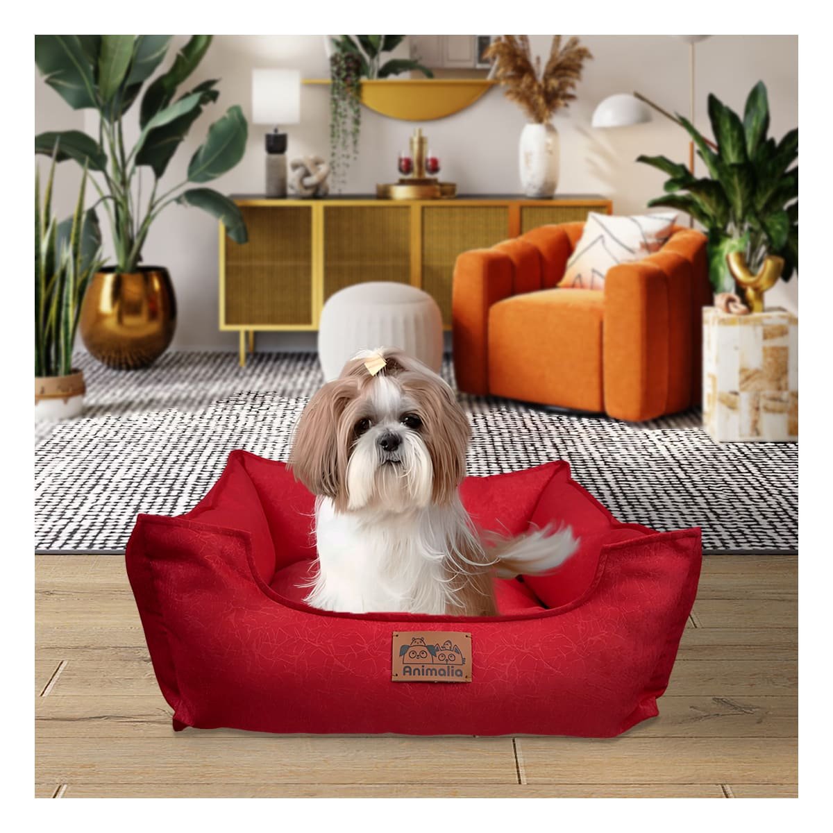 PACK6 SUPERFICIE ROJO PARA PERRO TALLA S CON COMPLETO - 2
