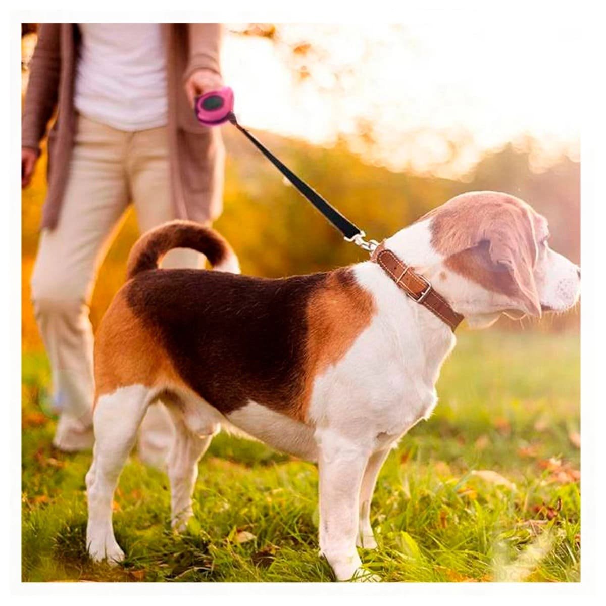 PACK4 HILO RESISTENTE ROSADO 5 METROS PARA PERROS CON MECANISMO EFICIENTE - 2