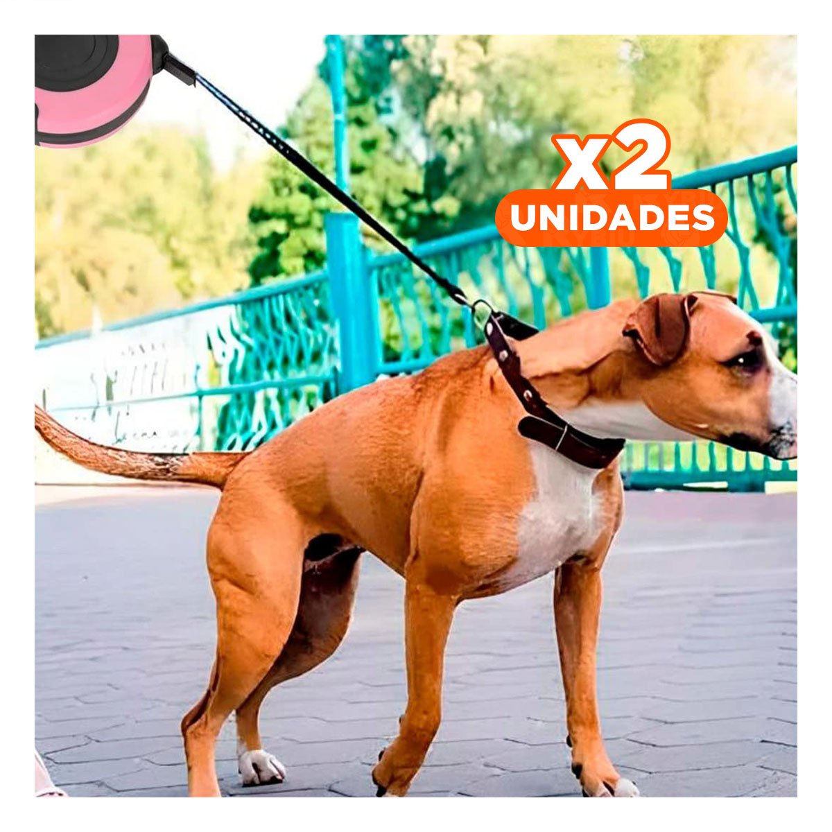 PACK2 FILAMENTO SEGURA ROSADO 5 METROS PARA PERROS CON EXTENSION USO DIARIO Y+REGALO STICKER - 1