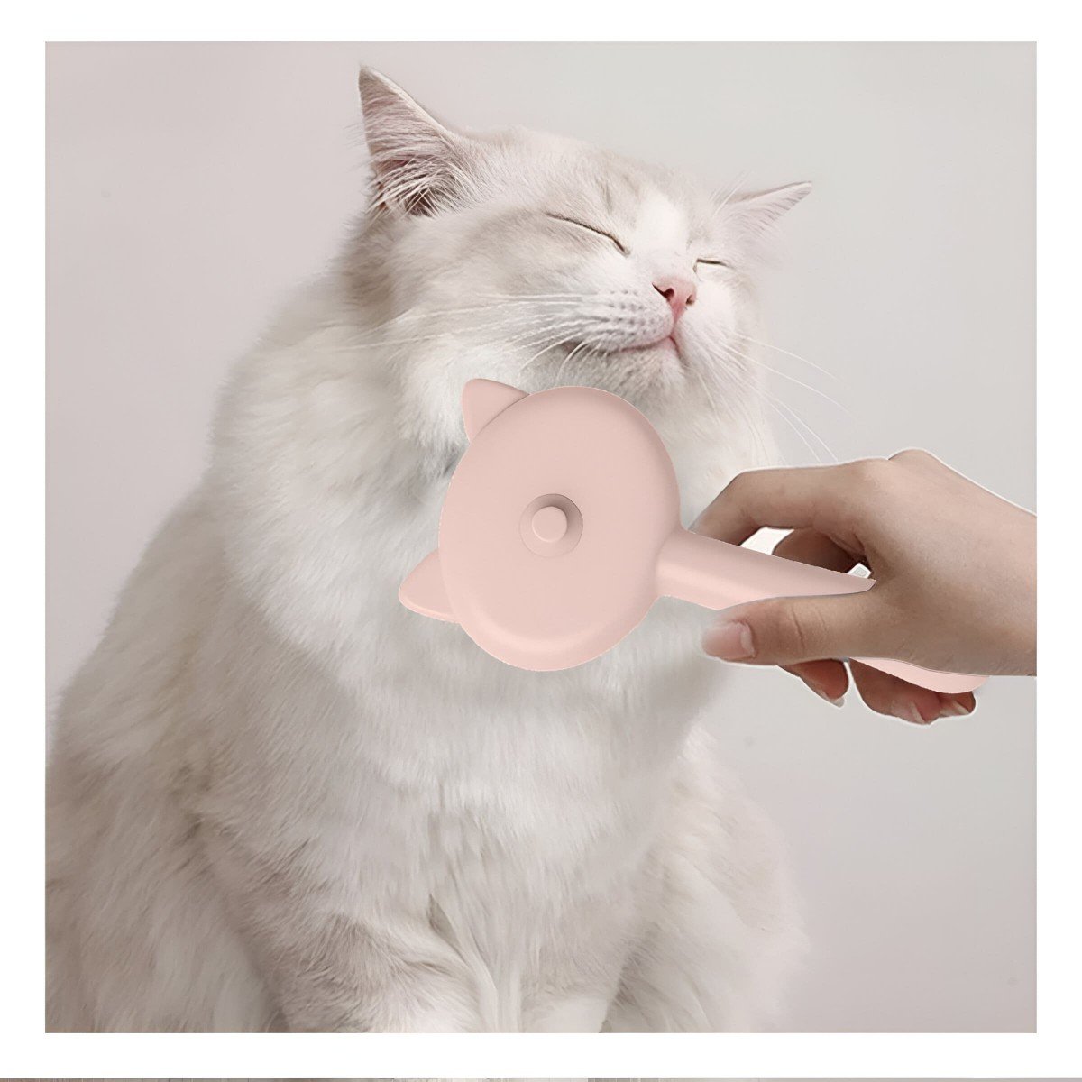 PACK4 IMPLEMENTO MODERNO DE ASEO ANIMAL CON VAPOR Y FORMA INSPIRADA EN GATO - 3