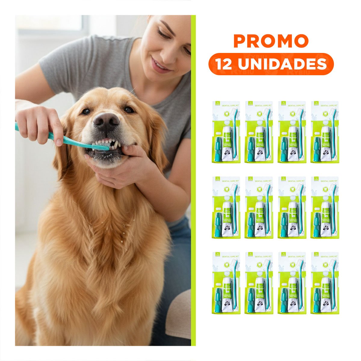 PACK12 PRESENTACION HIGIENE BUCAL VERDE AGUA PRACTICA CON ACCESORIOS MODERNOS Y+REGALO STICKER - 1