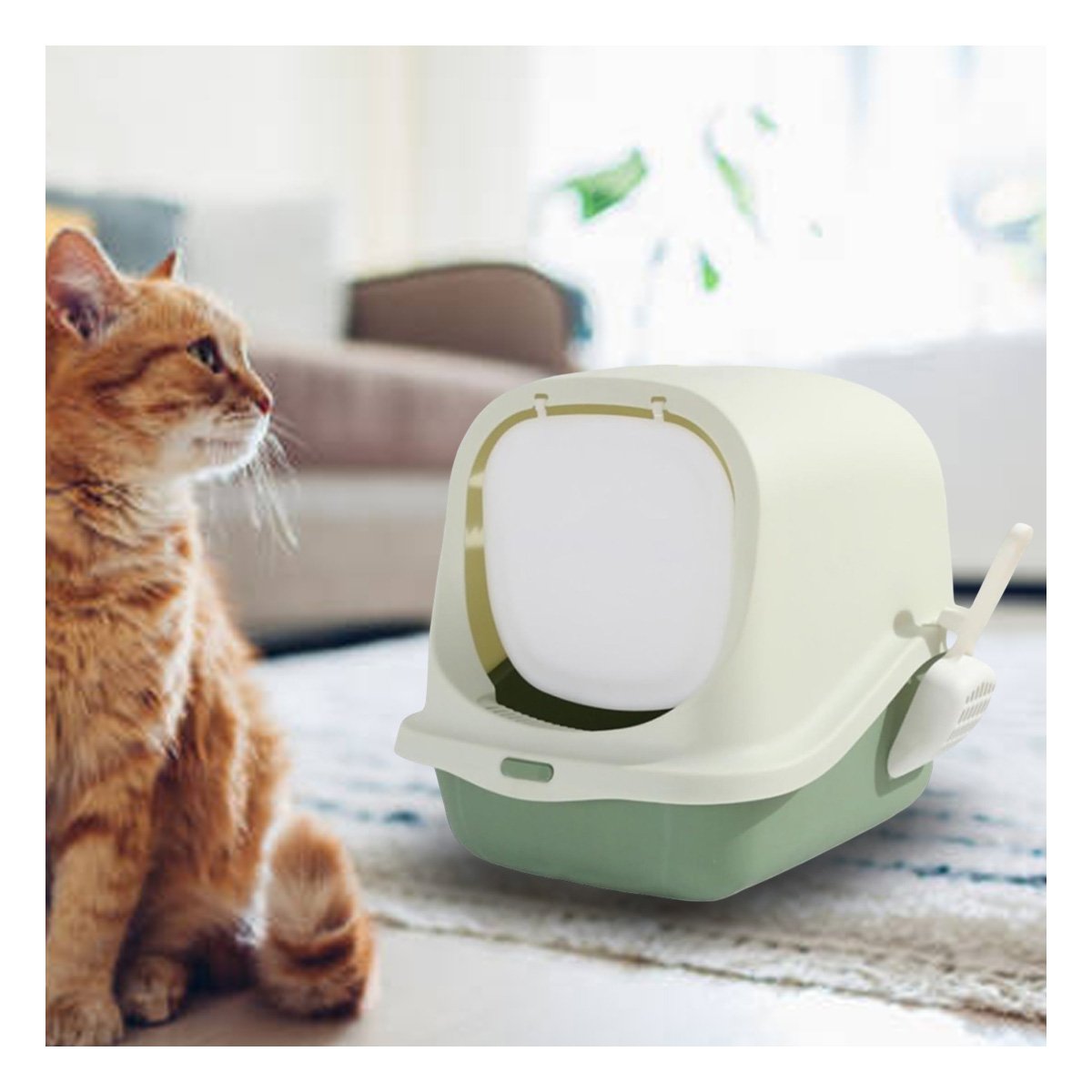 PACK2 ESPACIO CUBIERTO CON PALA PARA GATO VERDE USO DIARIO EN CASA Y+REGALO STICKER - 3
