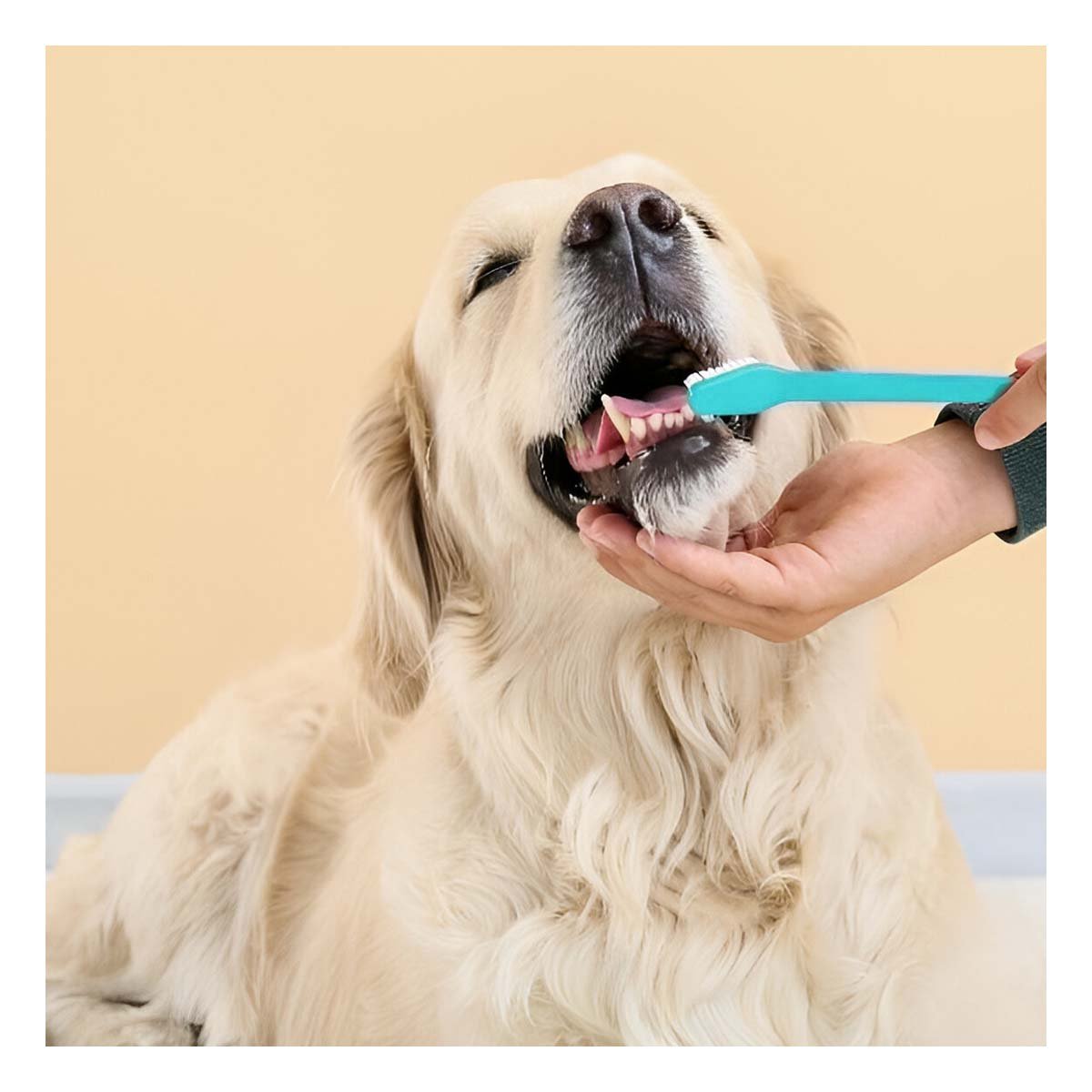 MALETIN CUIDADO DENTAL VERDE AGUA FUNCIONAL CON IMPLEMENTOS DE LIMPIEZA Y+POST IT - 3