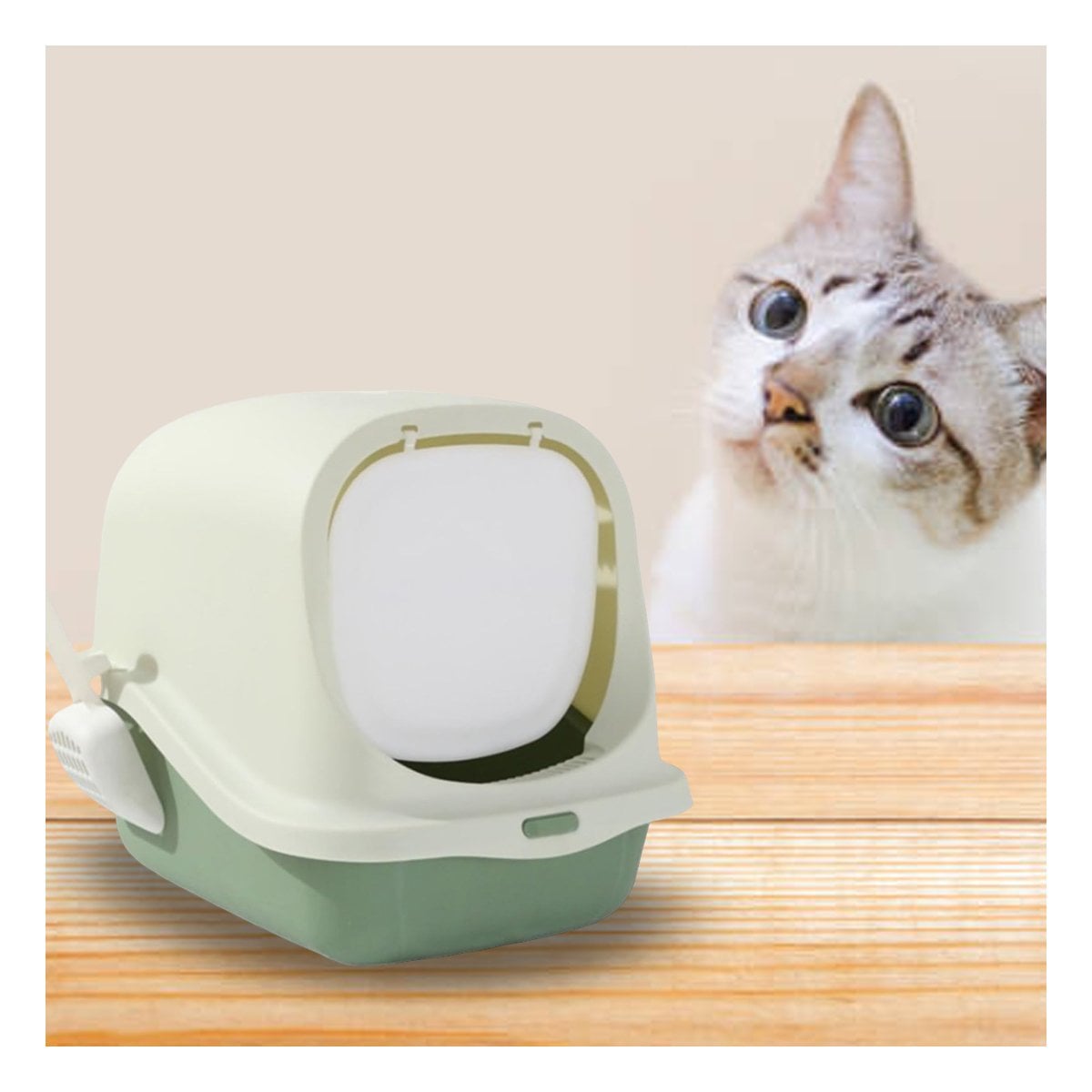 PACK4 MODULO CUBIERTO CON PALA PARA GATO VERDE PARA INTERIOR - 2