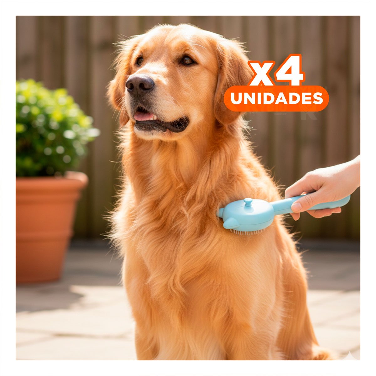 PACK4 UTENSILIO CELESTE PORTATIL PARA CEPILLAR MASCOTAS EN CASA CON VAPOR - 1