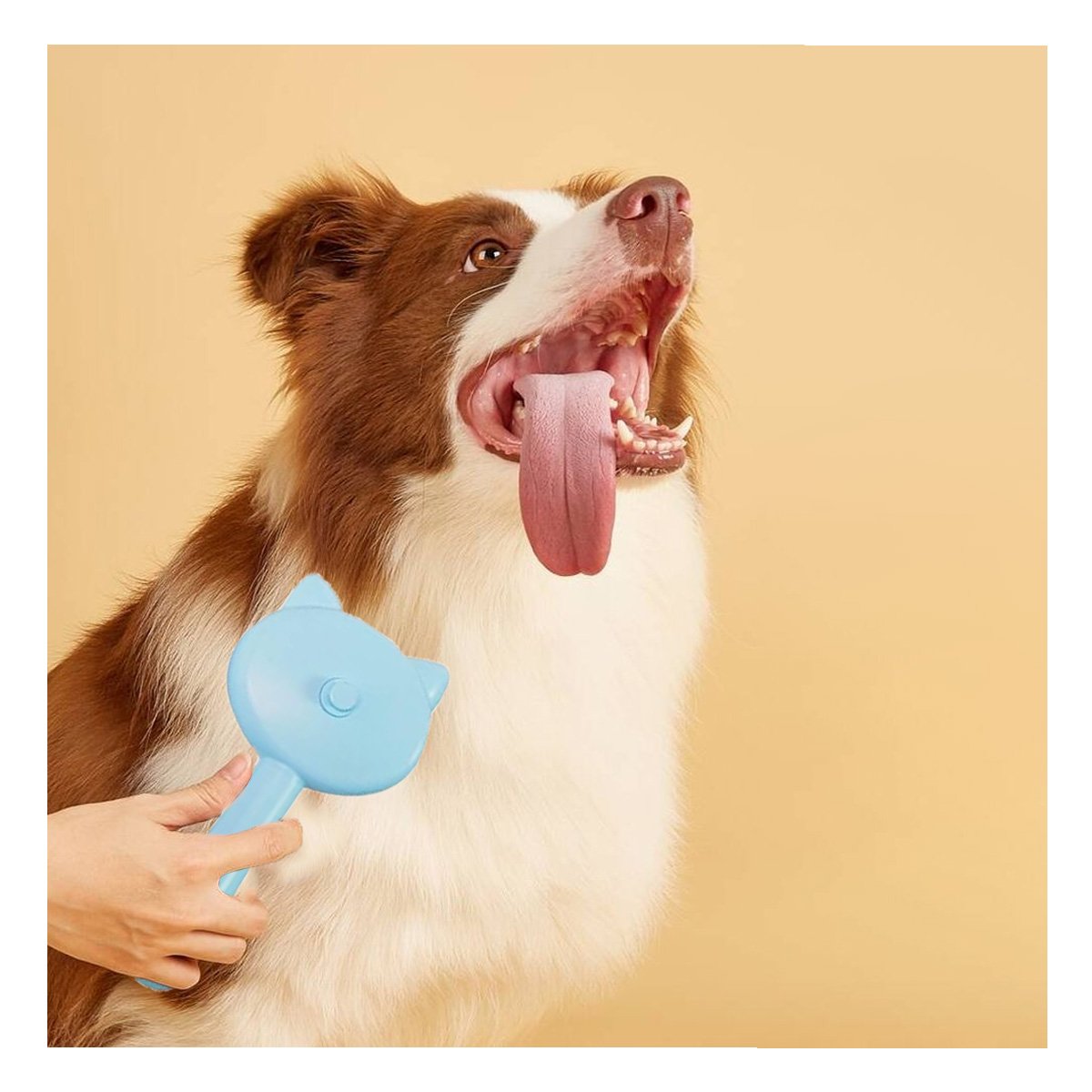 PACK4 UTENSILIO CELESTE PORTATIL PARA CEPILLAR MASCOTAS EN CASA CON VAPOR - 2