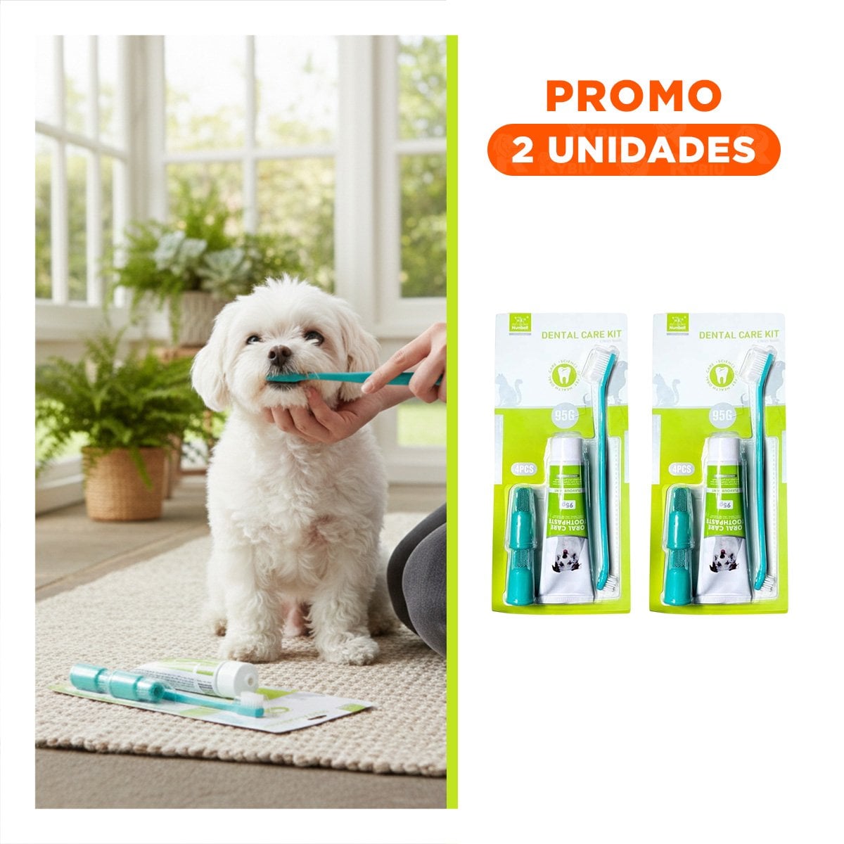 PACK2 PACK HIGIENE DENTAL VERDE AGUA FUNCIONAL CON ACCESORIOS PARA CASA - 1