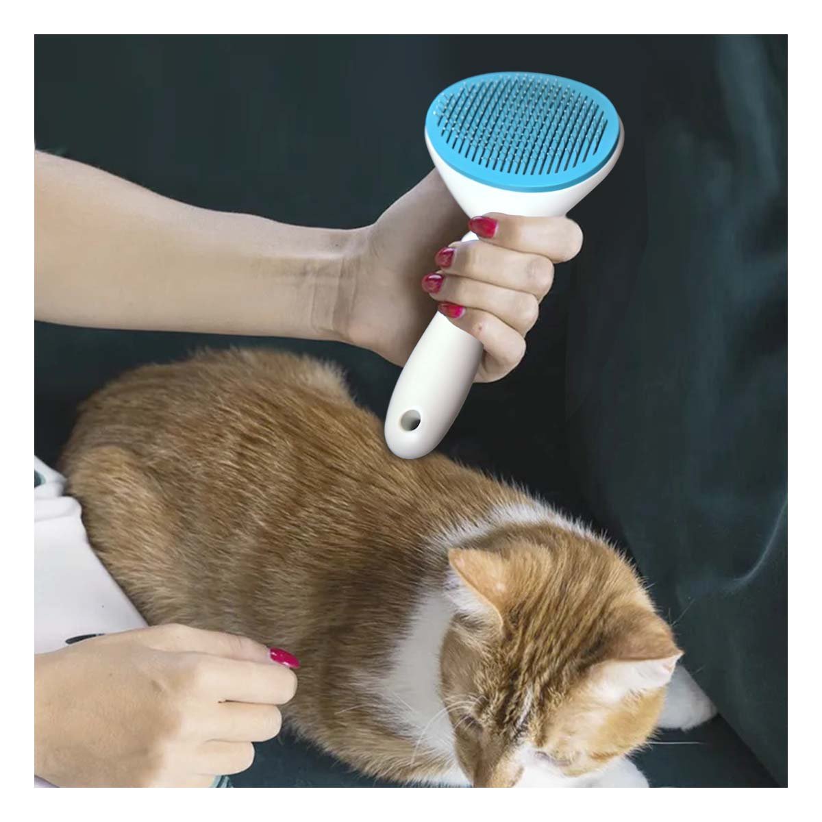 DISPOSITIVO REMOVEDOR DE PELUSA CELESTE Y BLANCO PARA MASCOTAS Y HOGAR Y+LIGAS REGALO - 1