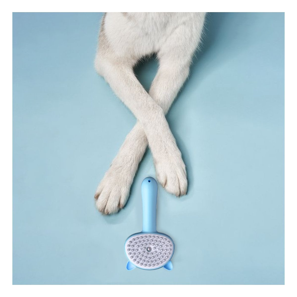COMPLEMENTO CELESTE DE LIMPIEZA PARA MASCOTAS CON SISTEMA A VAPOR Y+PAPEL REGALO - 2