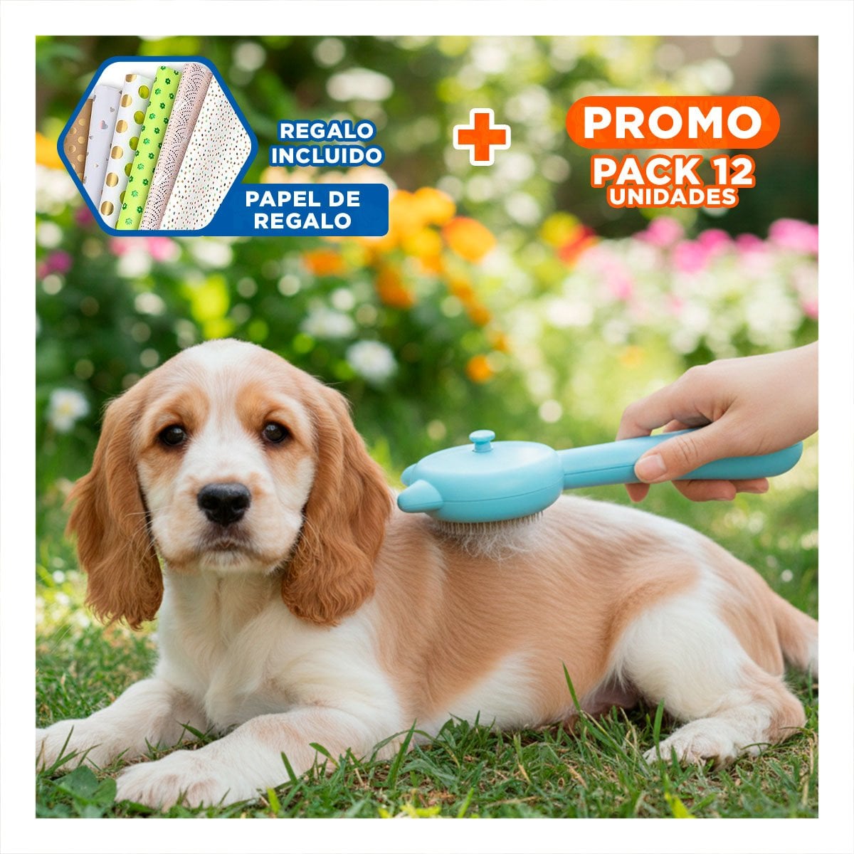 PACK12 IMPLEMENTO CELESTE PORTATIL PARA LIMPIEZA DE MASCOTAS CON SISTEMA A VAPOR Y+PAPEL REGALO - 1