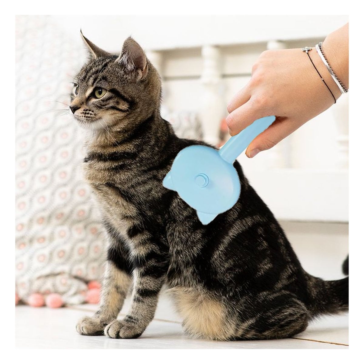 PACK12 IMPLEMENTO CELESTE PORTATIL PARA LIMPIEZA DE MASCOTAS CON SISTEMA A VAPOR Y+PAPEL REGALO - 3