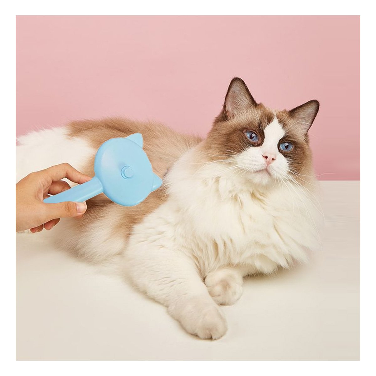 PACK4 COMPLEMENTO CELESTE MODERNO PARA PEINAR MASCOTAS CON SISTEMA A VAPOR Y+REGALO STICKER - 5