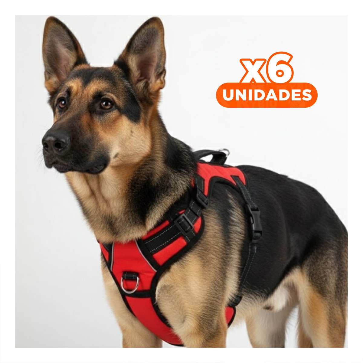 PACK6 SISTEMA CORPORAL EN H PARA PERRO TALLA M SEGURO ROJO Y+REGALO STICKER - 1