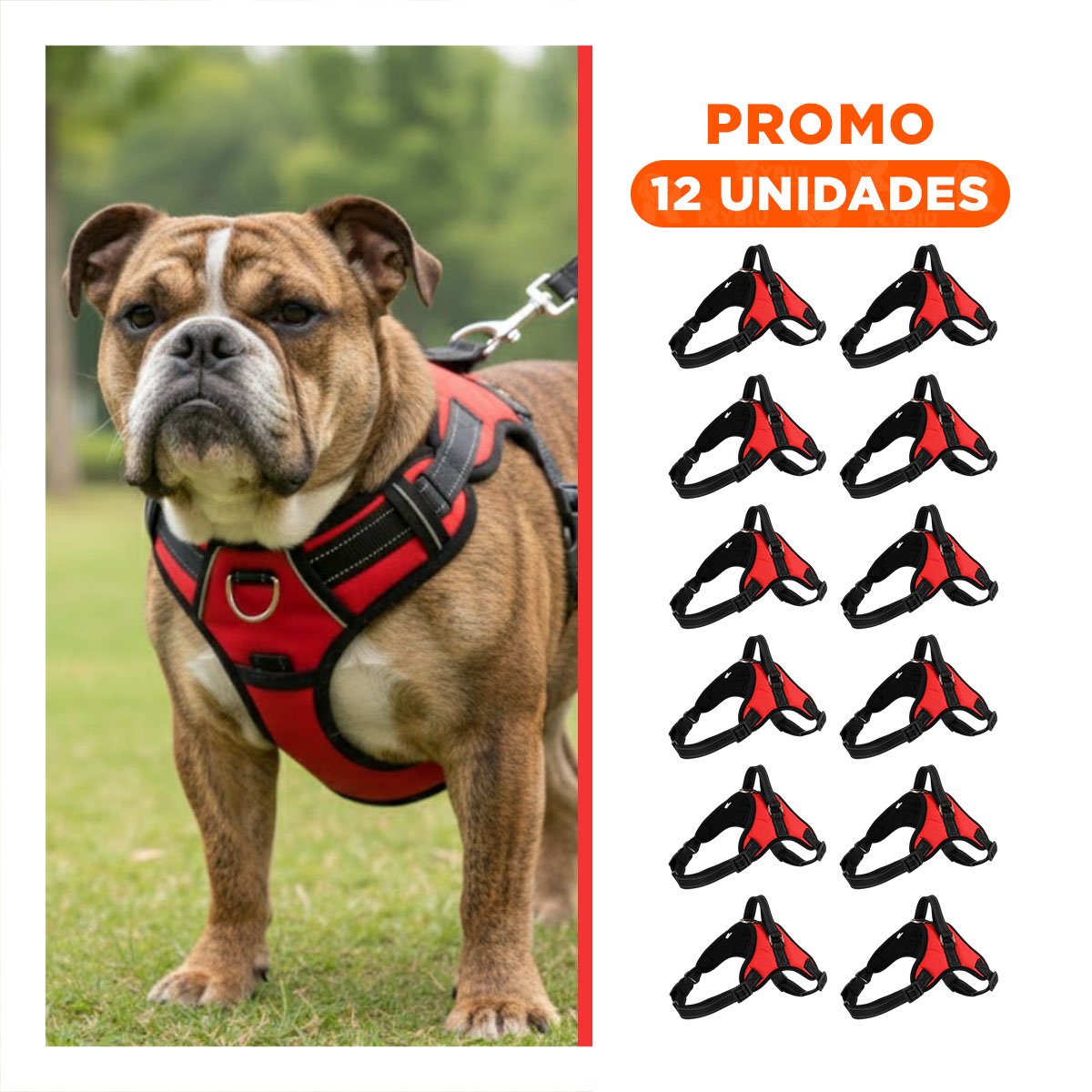 PACK12 CHALECO ERGONOMICO EN H PARA MASCOTA TALLA M SEGURO ROJO Y+REGALO STICKER - 1