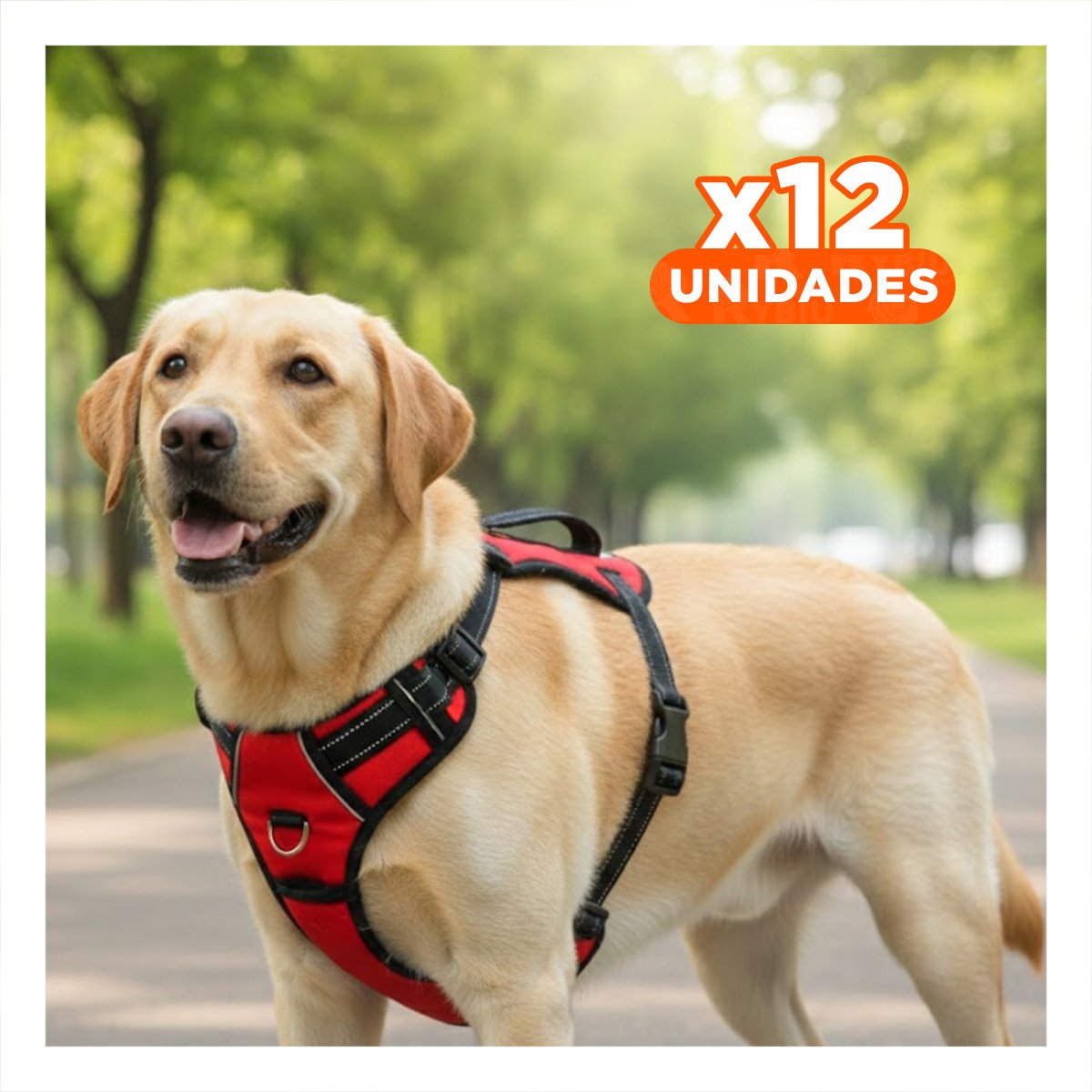 PACK12 ARNES DE USO DIARIO EN H PARA MASCOTA TALLA M COMODO ROJO - 1