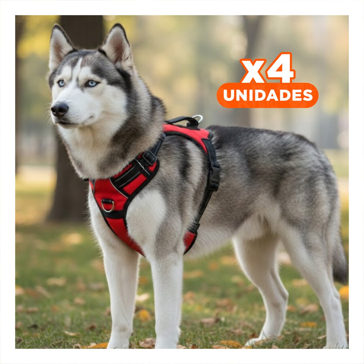 PACK4 SOPORTE DE PASEO EN H PARA MASCOTA TALLA M RESISTENTE ROJO - 1