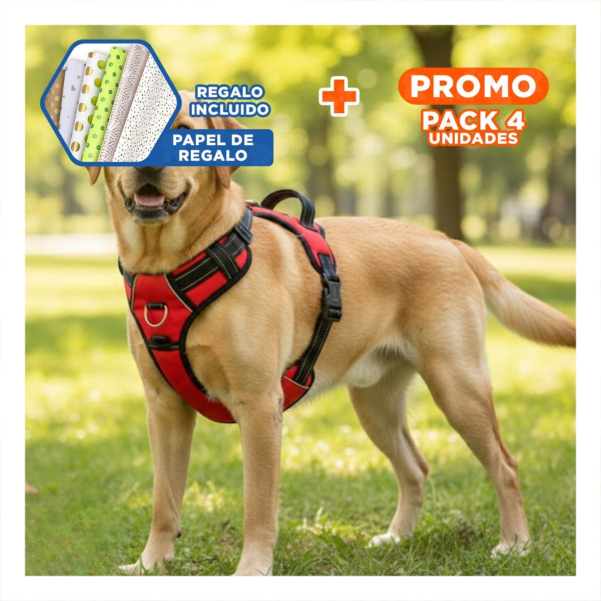 PACK4 ARNES DE CONTROL EN H PARA PERRO TALLA M SEGURO ROJO Y+PAPEL REGALO - 1