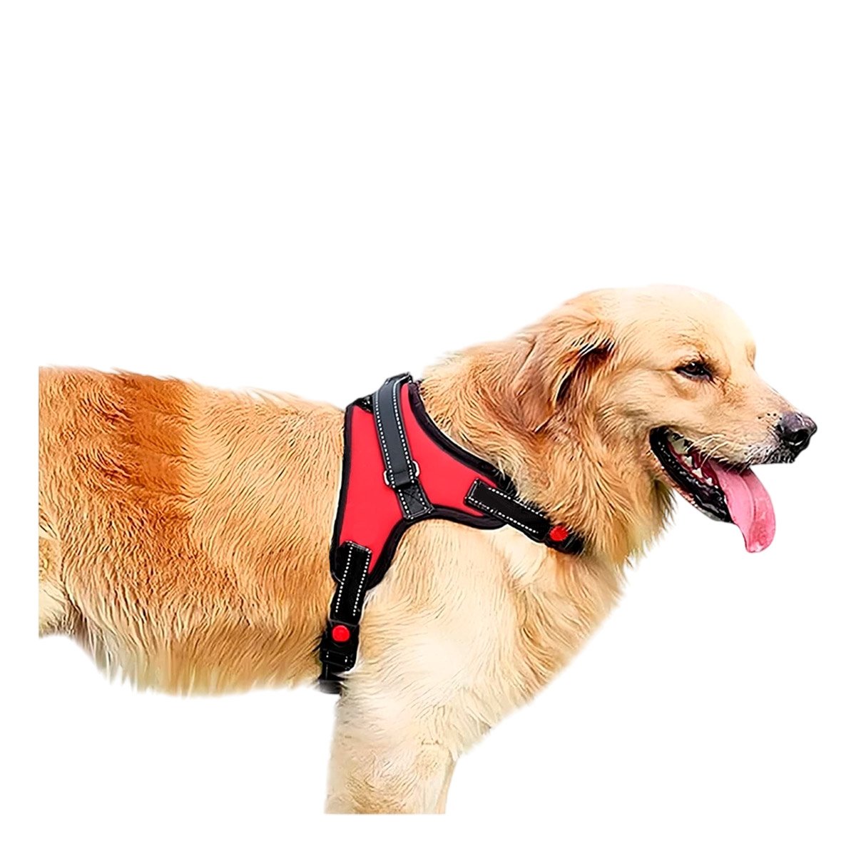 PACK4 ARNES DE CONTROL EN H PARA PERRO TALLA M SEGURO ROJO Y+PAPEL REGALO - 3