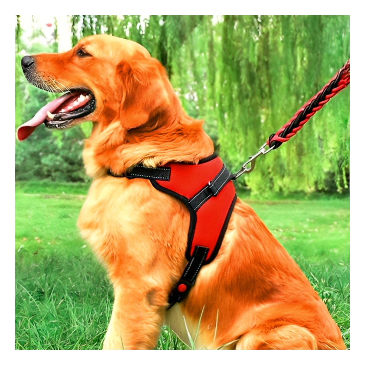 PACK2 CHALECO PRACTICO EN H PARA MASCOTA TALLA M SEGURO ROJO Y+PAPEL REGALO - 5