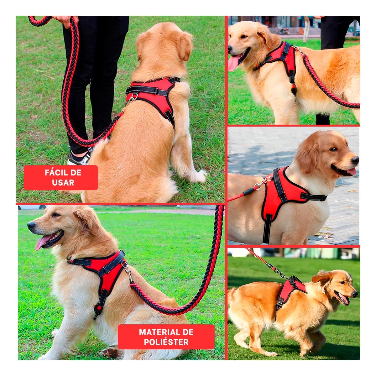 PACK4 PECHERA CONFORTABLE EN H PARA MASCOTA TALLA M AJUSTABLE ROJO Y+REGALO STICKER - 2
