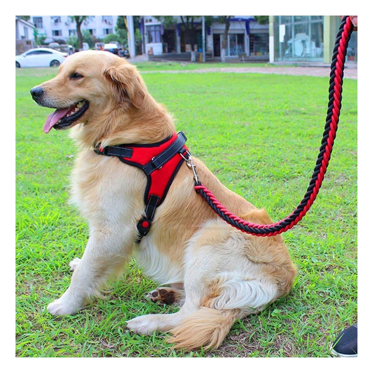 PACK4 PECHERA CONFORTABLE EN H PARA MASCOTA TALLA M AJUSTABLE ROJO Y+REGALO STICKER - 5