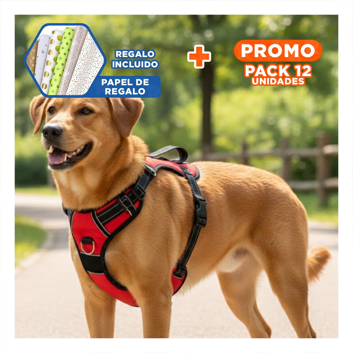 PACK12 PECHERA DE SOPORTE EN H PARA PERRO TALLA M AJUSTABLE ROJO Y+PAPEL REGALO - 1