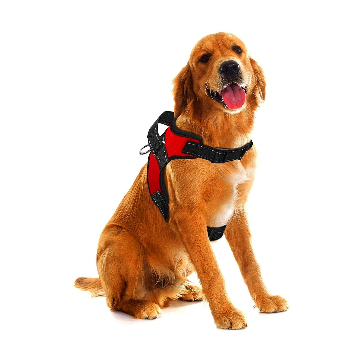 SOPORTE EN H AJUSTABLE PARA MASCOTA TALLA M RESISTENTE ROJO Y+LIGAS REGALO - 3
