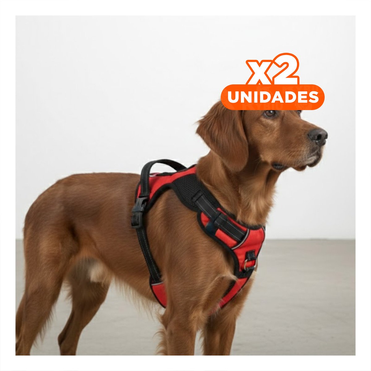 PACK2 ACCESORIO CORPORAL EN H PARA PERRO TALLA M FIRME ROJO Y+REGALO STICKER - 1