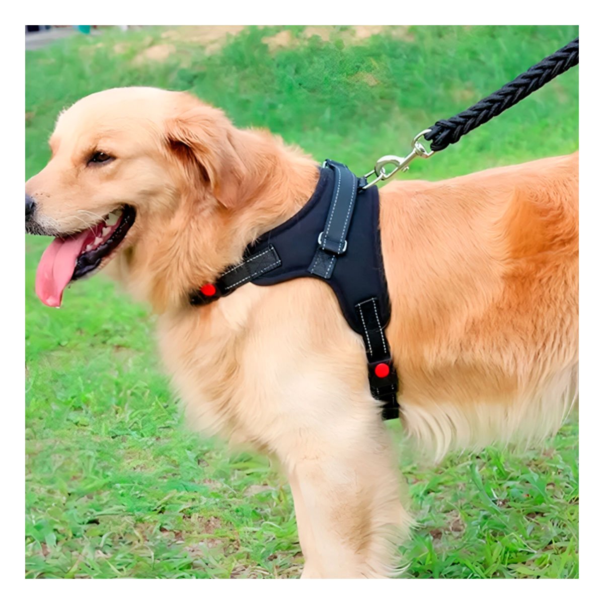 SISTEMA DE ARNES EN H PARA PERRO TALLA M CON AJUSTE FIRME NEGRO - 1