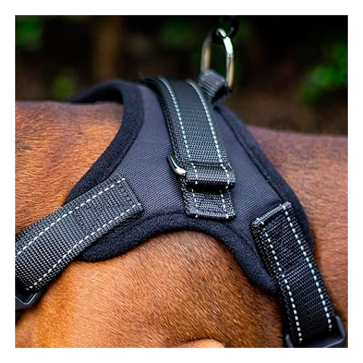 SISTEMA DE ARNES EN H PARA PERRO TALLA M CON AJUSTE FIRME NEGRO - 2