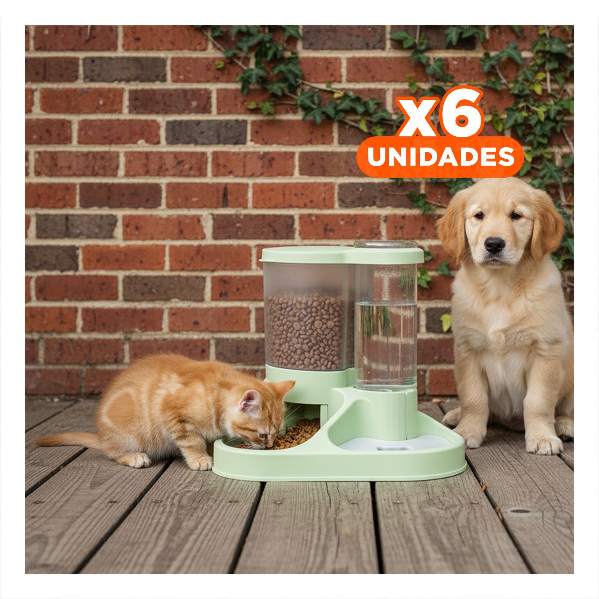 PACK6 DEPOSITO INTEGRADO DE AGUA Y COMIDA PARA MASCOTA CON LLAVE Y+REGALO STICKER - 1