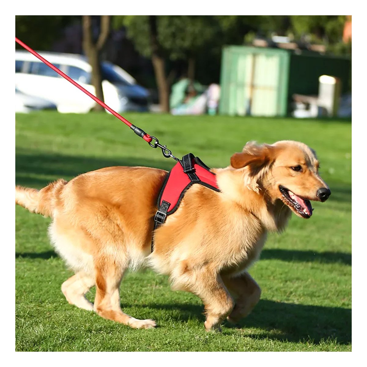 CORREA CORPORAL EN H PARA PERRO TALLA M CON CONTROL SEGURO ROJO Y+POST IT - 3